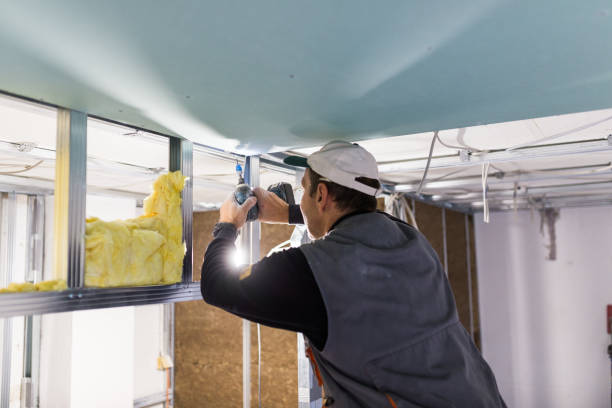Types of Insulation We Offer in Capitol View, SC