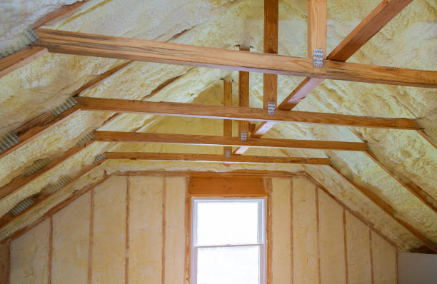 Trusted Capitol View, SC Insulation Contractor Experts
