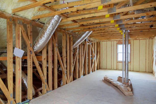 Best Insulation Maintenance and Repair in Capitol View, SC