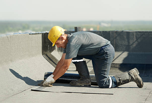Best Specialized Insulation Services in Capitol View, SC