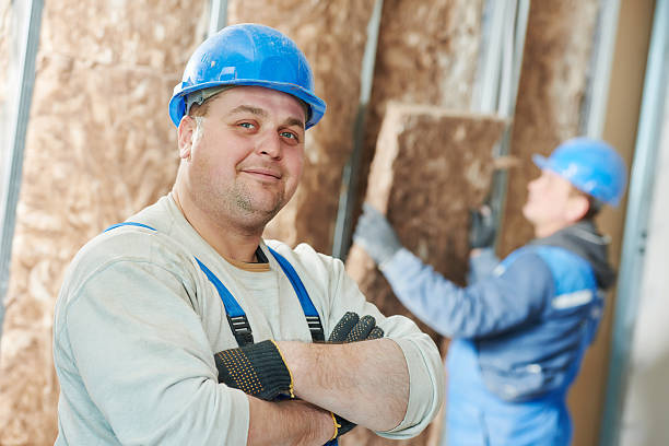 Best Fiberglass Insulation in Capitol View, SC