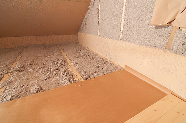 Best Spray Foam Insulation in Capitol View, SC